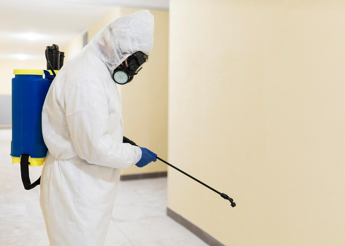 Your Premier Solution for Pest Control in Port St. Lucie at Ben’s Pest Control