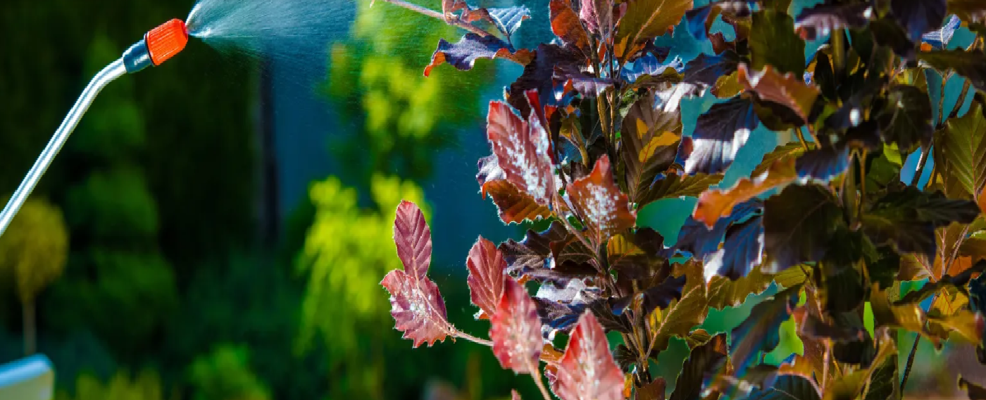 Tallahassee Pest Control Unveils Comprehensive Solutions to Keep Florida Homes and Businesses Pest-Free
